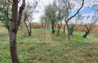 Casa bătrânească cu anexe , teren de 4200mp, zona Madaras - 1
