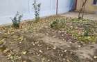 Teren 540 si casa locuibila 70mp tel 0744381757 - 7
