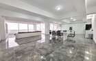 Penthouses de inchiriat, 245 mp. utili + 65mp. terasa - Mihai Viteazu - 3