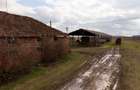 Fermă cu teren intravilan de 35000 mp în Mișca - 14