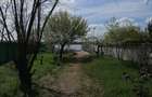 Vila unicat de inchiriat in Mamaia - 9