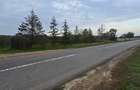 LIVADA  DE VANZARE FOCSANI-DUMBRAVITA  1,8  HA - 25
