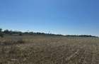 Exclusiv ! TUZLA - teren 10.000 mp cu deschidere 37 mp (Cod E8) - 9