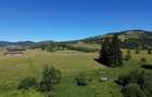 Teren in Bucovina! La Munte! De vanzare! 0727817187 - 8