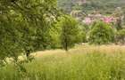 TEREN DE VANZARE VALEA DOFTANEI - 3