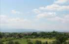 APARTAMENT LUX IN SELIMBAR - 6