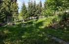 Cabana de vanzare, cu 4 camere, 100 mp, zona Piatra Fantanele