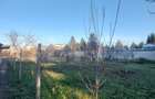 Vila, 10 camere, 580 mp, zona Cartier Albert - 6