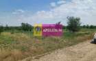 Săbăreni, teren 12620 mp pentru case, lângă pădure - 5