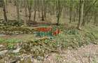 Casă de vacanță la pădure | Teren 891 mp | Valea Ighielului - 29