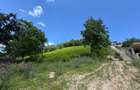 Teren intravilan 2.500 mp in Cisnadioara / jud. Sibiu - 3