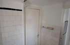 Apartament 2 camere, Gradina Botanica - 11