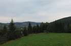 TEREN PREMIUM 5.023 MP ÎN VORONEȚ | BUCOVINA | ZONA MĂNĂSTIR - 19