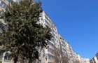 Apartament de inchiriat - zona Casa de Cultura - 5