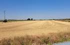 Vand 2.5 ha teren extravilan langa centura VTM - 4