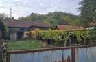 Casă tradițională cu teren generos – Borosteni, Peștișani, jud. Gorj - 10
