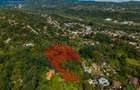 Teren 3.886 mp, Breaza - Podu Vadului, 30 m deschidere la asfalt - 5
