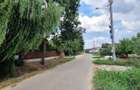 Casa cu vie, livadă și timp pentru tine - 36