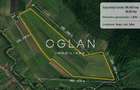 Teren 8,95 ha Roșia Sibiu  Comision 0% - 1