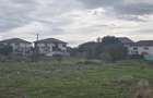 Vand teren in Palazu Mare lot de casa - 8