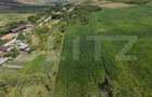 Casa de vabzare, 87 mp, 6.400 mp teren, zona Lujerdiu - 3