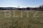Teren intravilan in localitatea Hereclean in suprafata de 5800 mp - 3