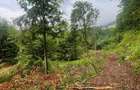 Teren intravilan, 2.6 ha, zona Complex Turistic Suior - 4