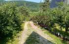 Cabane A frame + Teren 6000 mp |  Proprietate deosebita, NOU - 18