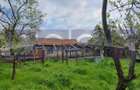 VANZARE CASA | TEREN 1100 MP | GARAJ, FOISOR, LIVADA | ROSIORI DE VEDE - 12