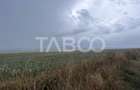 Teren de vanzare 30000 mp   60 ml deschidere Sura Mare Sibiu - 2