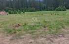 Teren intravilan în Poiana Brașov, 0% COMISION - 6