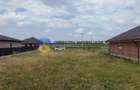 Teren de vânzare – Zănești, jud. Neamț | 996 mp | Zonă în dezvoltare - 9