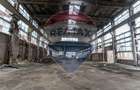 Platforma industriala 33.000 mp | fosta fabrica dolomita | acces TIR | - 12