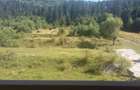 Teren 8000 mp Leresti, 83.885 eur - 3