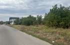 Teren 1000m Jilava  Str.Garii,Asfaltat ,Utilitati - 1