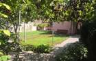 Teren intravilan 1,2 ha *12000 mp, casa 61 mp, sera, front stradal 15 m