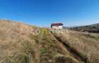 Vanzare teren de 1028 mp in zona de case - Campenesti - 3