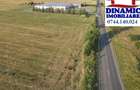 17000 mp intravilan, Piatra-Neamt, 50 Eur/mp - 3