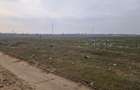 Teren extravilan parcelat, suprafață 726 mp, Cernele - 3
