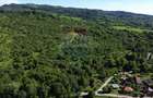 Teren de vânzare in Campulung-Muscel / Strada Ion Giurculescu - 11