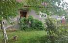 Casa pitoreasca în Viile Tecii cu o grădina de 26 de arii - 1