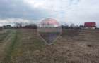 Teren intravilan 1.500 mp – Horlești, Rediu  Ideal pentru casă - 2