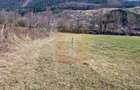 Teren intravilan de 4.000 mp în Bistrița – Alexandru cel Bun - 12