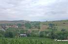 Vanzare teren intravilan cu casa veche in Camarasu, Cluj - 7