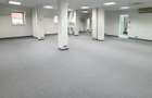 Vila cu prestanta zona Capitale Guvern, renovata integral, lift, parcare proprie - 7