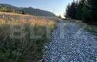 Teren intravilan de 10 ari cu vedere la lac, Colibița - 4