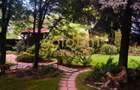 CASUTA DIN POVESTI/CURTE 1100MP/GRADINA MAGICA/SAUNA/PISCINA/SNAGOV - 3