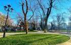 Apartament exclusivist 3 camere cu terasa si parcare | Dacia - Icoanei - 14