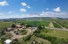 Oportunitate de investiție – Teren intravilan 22.942 mp, Vânători - 4
