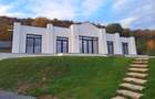 VILA NOUA,MODERNA CU 2100 METRI PATRATI TEREN-VIISOARA - 1